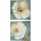 Late Summer Poppies & Roses by Lanie Loreth 14" x 14" Canvas Wall Art (Set of 2)